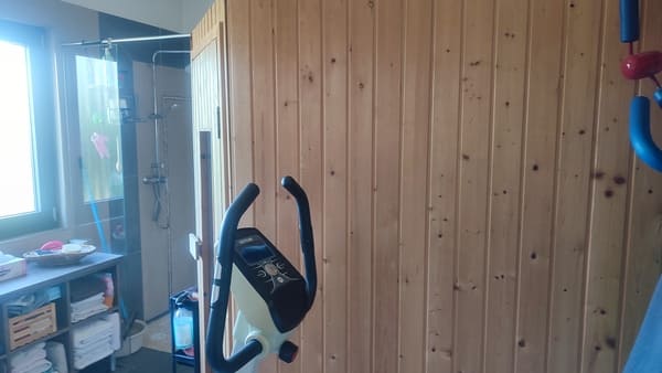 Espace bien-être avec sauna en bois, douche et équipement de sport au rez-de-chaussée de la maison à vendre à Saint-Bernard
